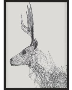 Vox Picture FUTURE 53x73